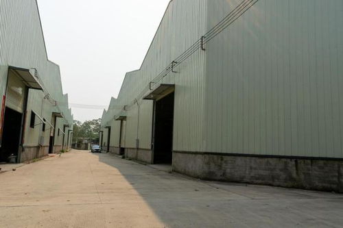 南宁一工厂破产拍卖引关注 566.8646万成交价背后的产业与历史变迁